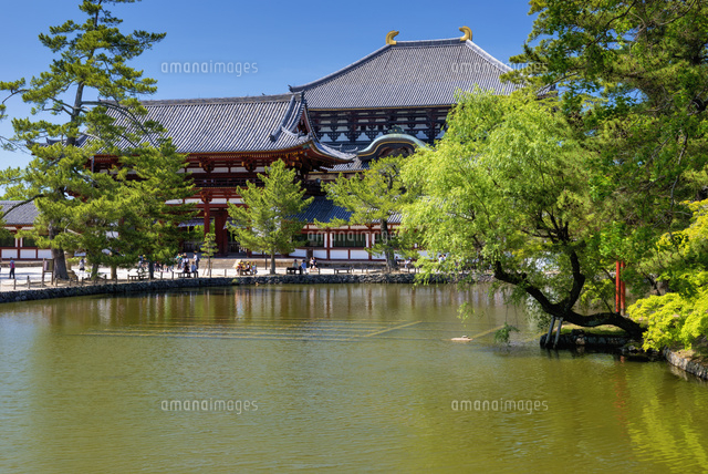 鏡池と東大寺大仏殿
(c)YOSHITSUGU NISHIGAKI/SEBUN PHOTO