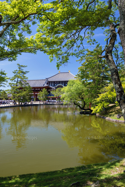 鏡池と東大寺大仏殿
(c)YOSHITSUGU NISHIGAKI/SEBUN PHOTO