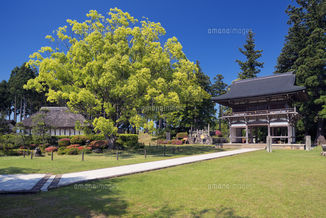 阿仏房妙宣寺
(c)YOSHITSUGU NISHIGAKI/SEBUN PHOTO