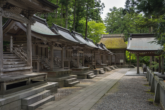 弥彦神社
(c)YOSHITSUGU NISHIGAKI/SEBUN PHOTO