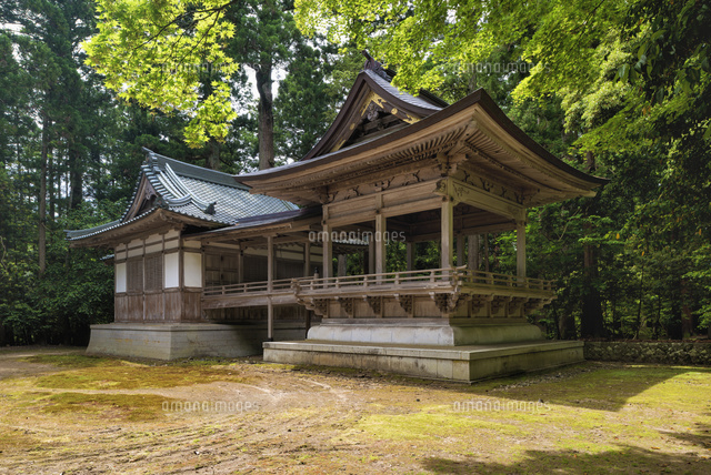 弥彦神社
(c)YOSHITSUGU NISHIGAKI/SEBUN PHOTO