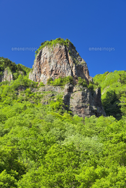 層雲峡
(c)YOSHITSUGU NISHIGAKI/SEBUN PHOTO