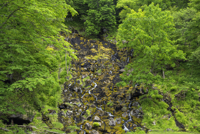 オンネトー湯の滝
(c)YOSHITSUGU NISHIGAKI/SEBUN PHOTO