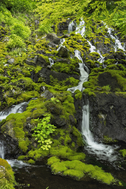 オンネトー湯の滝
(c)YOSHITSUGU NISHIGAKI/SEBUN PHOTO
