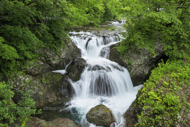 三階滝
(c)YOSHITSUGU NISHIGAKI/SEBUN PHOTO