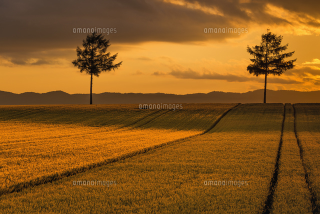 メルヘンの丘の夕景
(c)YOSHITSUGU NISHIGAKI/SEBUN PHOTO