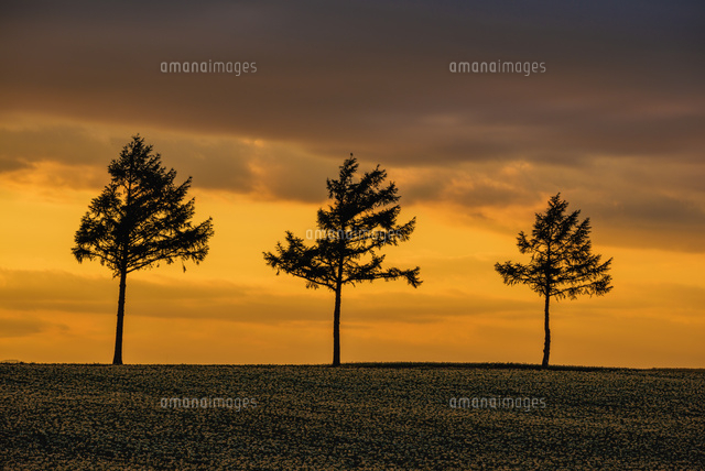 メルヘンの丘の夕景
(c)YOSHITSUGU NISHIGAKI/SEBUN PHOTO