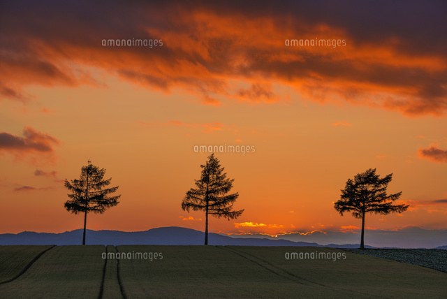 メルヘンの丘の夕景
(c)YOSHITSUGU NISHIGAKI/SEBUN PHOTO