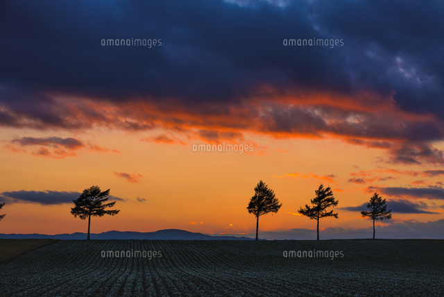メルヘンの丘の夕景
(c)YOSHITSUGU NISHIGAKI/SEBUN PHOTO