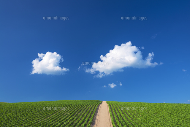 畑と雲
(c)YOSHITSUGU NISHIGAKI/SEBUN PHOTO