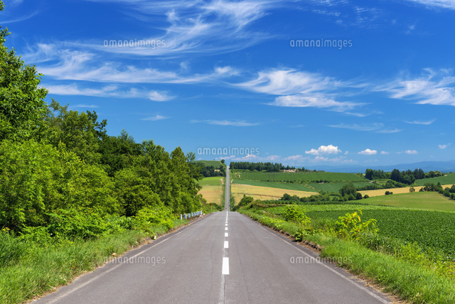 畑とジェットコースターの道
(c)YOSHITSUGU NISHIGAKI/SEBUN PHOTO