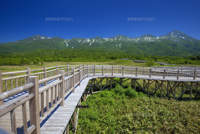 高架木道と知床連山
(c)YOSHITSUGU NISHIGAKI/SEBUN PHOTO