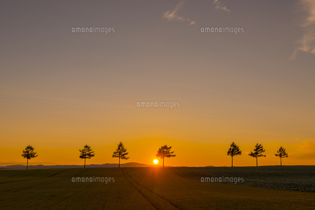 メルヘンの丘と夕日
(c)YOSHITSUGU NISHIGAKI/SEBUN PHOTO