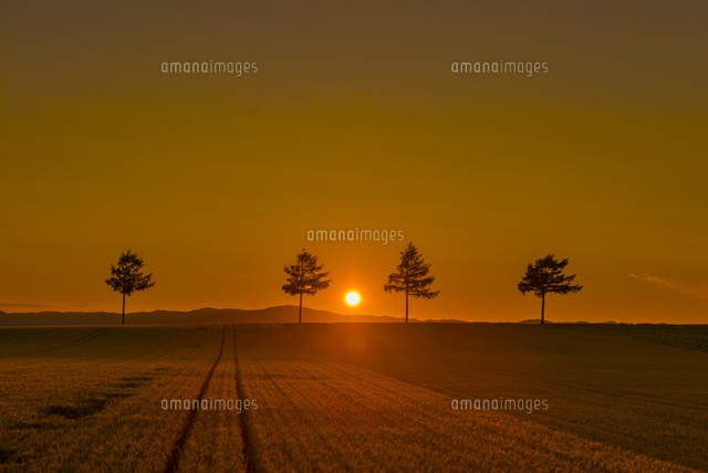 メルヘンの丘と夕日
(c)YOSHITSUGU NISHIGAKI/SEBUN PHOTO