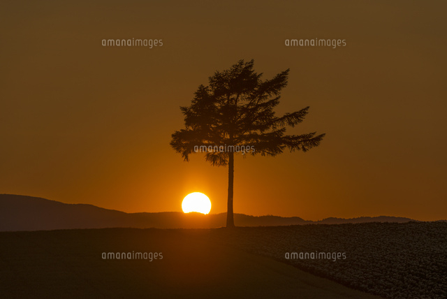 メルヘンの丘と夕日
(c)YOSHITSUGU NISHIGAKI/SEBUN PHOTO