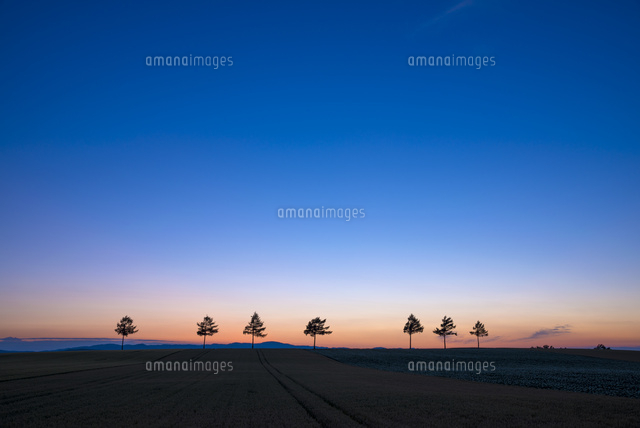 メルヘンの丘の夕景
(c)YOSHITSUGU NISHIGAKI/SEBUN PHOTO
