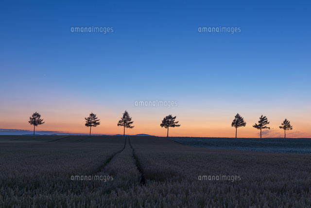 メルヘンの丘の夕景
(c)YOSHITSUGU NISHIGAKI/SEBUN PHOTO
