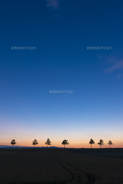 メルヘンの丘の夕景
(c)YOSHITSUGU NISHIGAKI/SEBUN PHOTO