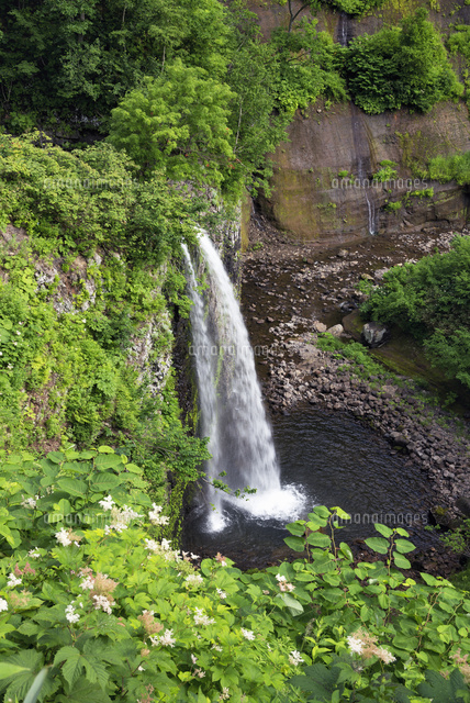 白竜の滝
(c)YOSHITSUGU NISHIGAKI/SEBUN PHOTO