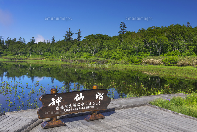 神仙沼
(c)YOSHITSUGU NISHIGAKI/SEBUN PHOTO