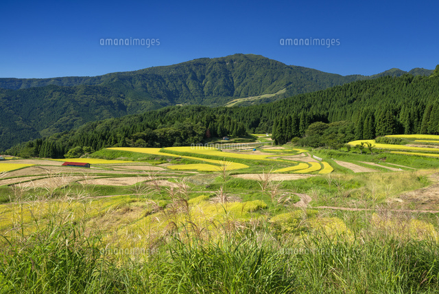 別宮の棚田と氷ノ山
(c)YOSHITSUGU NISHIGAKI/SEBUN PHOTO