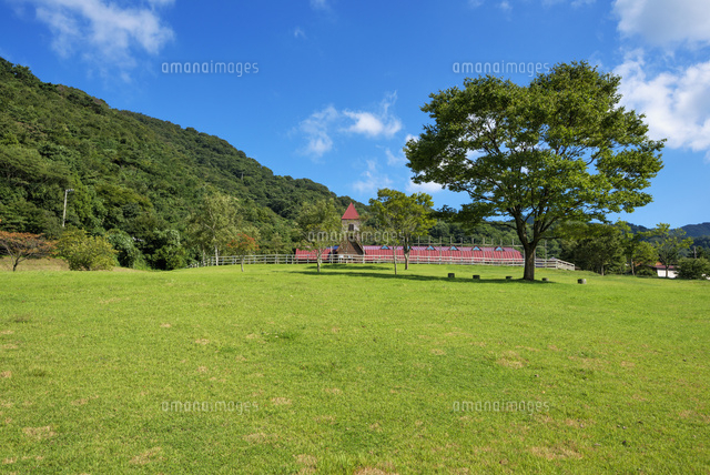 兵庫県立但馬牧場公園
(c)YOSHITSUGU NISHIGAKI/SEBUN PHOTO
