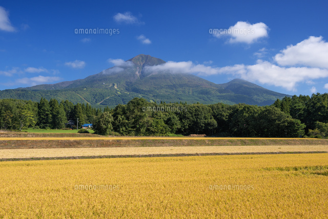 稲穂と磐梯山
(c)YOSHITSUGU NISHIGAKI/SEBUN PHOTO
