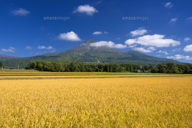 稲穂と磐梯山
(c)YOSHITSUGU NISHIGAKI/SEBUN PHOTO