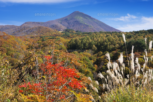 紅葉と磐梯山
(c)YOSHITSUGU NISHIGAKI/SEBUN PHOTO