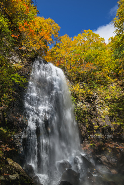 紅葉と小野川不動滝
(c)YOSHITSUGU NISHIGAKI/SEBUN PHOTO