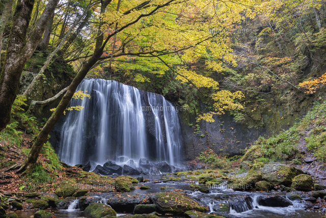紅葉と達沢不動滝
(c)YOSHITSUGU NISHIGAKI/SEBUN PHOTO