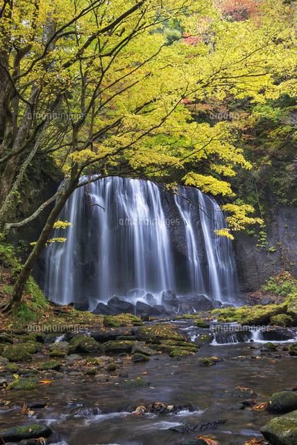 紅葉と達沢不動滝
(c)YOSHITSUGU NISHIGAKI/SEBUN PHOTO