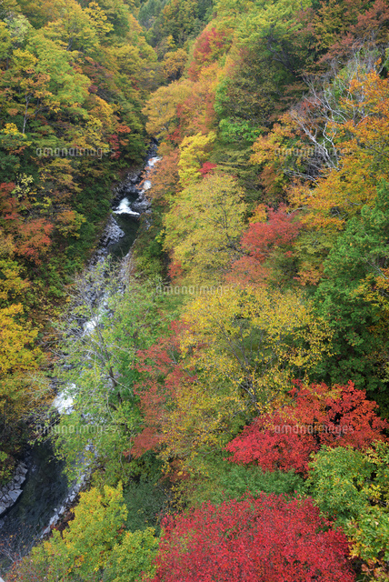 紅葉と中津川渓谷
(c)YOSHITSUGU NISHIGAKI/SEBUN PHOTO