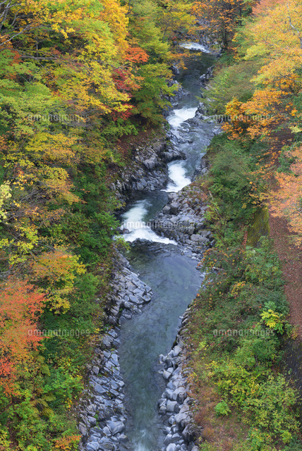 紅葉と中津川渓谷
(c)YOSHITSUGU NISHIGAKI/SEBUN PHOTO