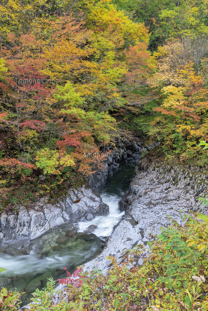 紅葉と中津川渓谷
(c)YOSHITSUGU NISHIGAKI/SEBUN PHOTO