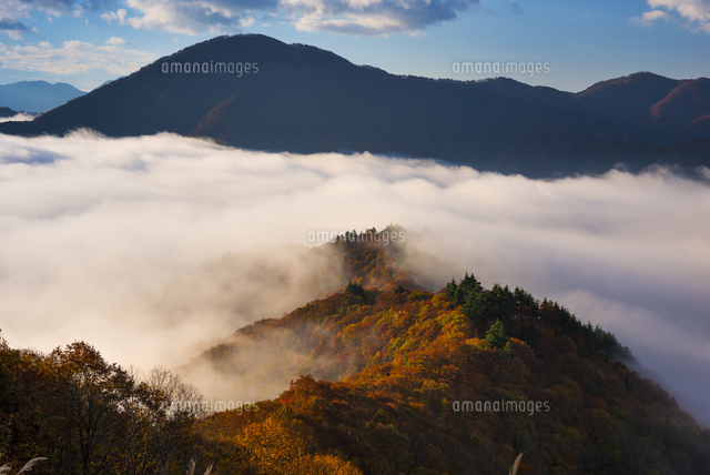 朝の雲海と紅葉
(c)YOSHITSUGU NISHIGAKI/SEBUN PHOTO