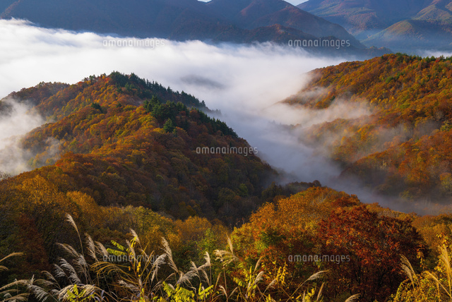 朝の雲海と紅葉
(c)YOSHITSUGU NISHIGAKI/SEBUN PHOTO