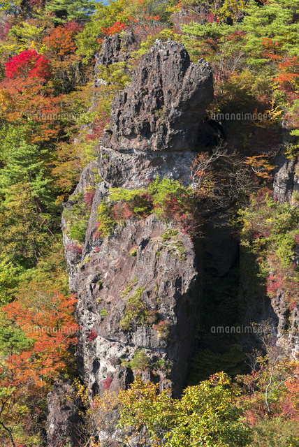 紅葉の霊山
(c)YOSHITSUGU NISHIGAKI/SEBUN PHOTO