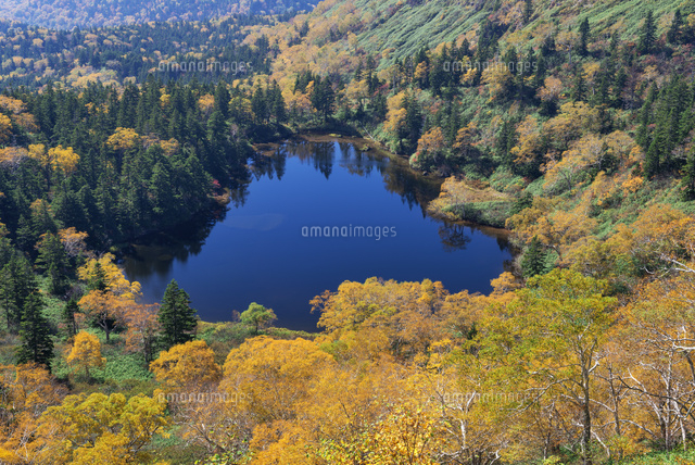 紅葉の八幡平と熊沼
(c)YOSHITSUGU NISHIGAKI/SEBUN PHOTO