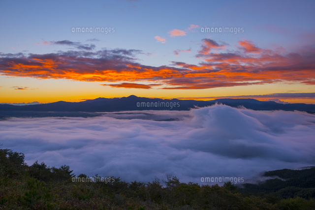 高清水山より遠野盆地の雲海と朝焼け雲
(c)YOSHITSUGU NISHIGAKI/SEBUN PHOTO