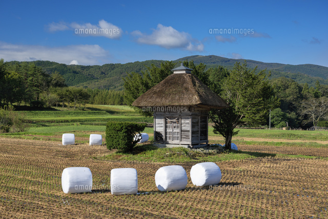 荒神神社
(c)YOSHITSUGU NISHIGAKI/SEBUN PHOTO