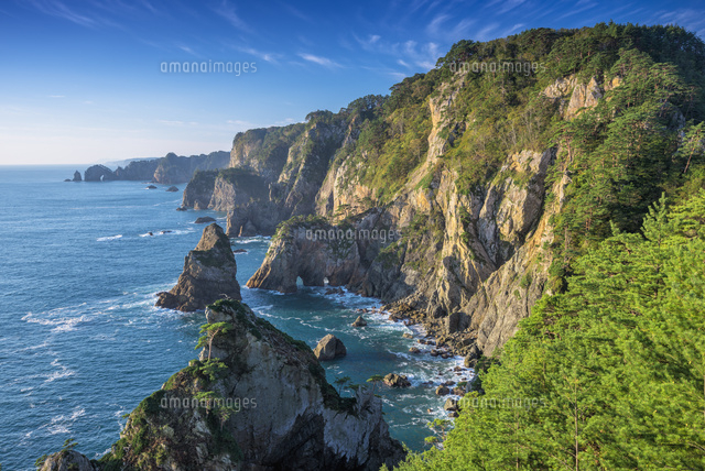 朝の北山崎
(c)YOSHITSUGU NISHIGAKI/SEBUN PHOTO