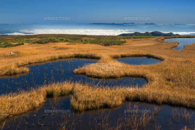 秋の月山弥陀ヶ原湿原と雲海
(c)YOSHITSUGU NISHIGAKI/SEBUN PHOTO