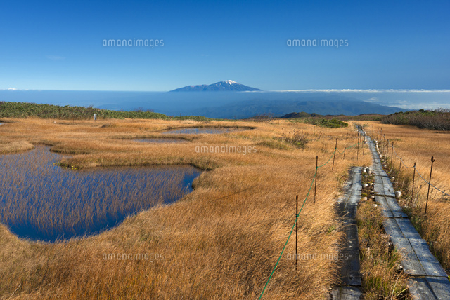 秋の月山弥陀ヶ原湿原と鳥海山
(c)YOSHITSUGU NISHIGAKI/SEBUN PHOTO