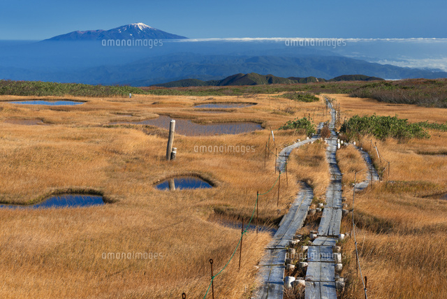 秋の月山弥陀ヶ原湿原と鳥海山
(c)YOSHITSUGU NISHIGAKI/SEBUN PHOTO
