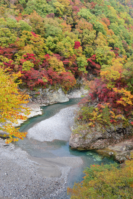 鬼怒川と紅葉
(c)YOSHITSUGU NISHIGAKI/SEBUN PHOTO