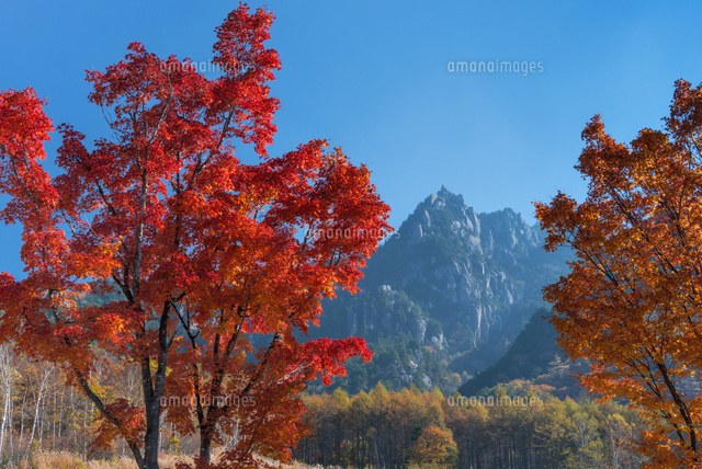 紅葉と瑞牆山
(c)YOSHITSUGU NISHIGAKI/SEBUN PHOTO
