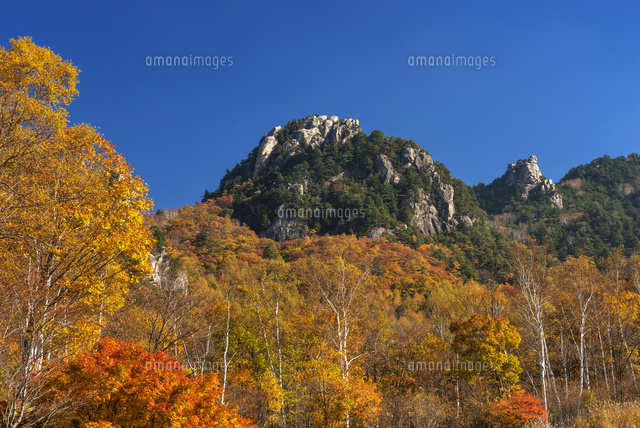 紅葉と瑞牆山
(c)YOSHITSUGU NISHIGAKI/SEBUN PHOTO