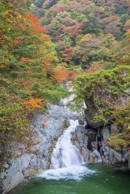 秋の尾白川渓谷 三段滝
(c)YOSHITSUGU NISHIGAKI/SEBUN PHOTO
