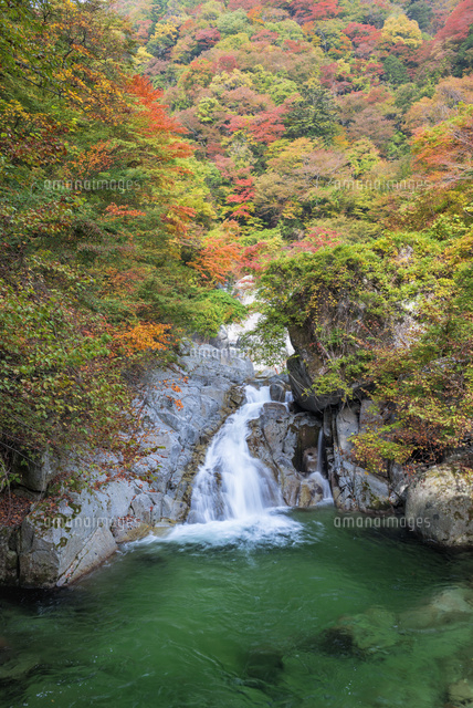 秋の尾白川渓谷 三段滝
(c)YOSHITSUGU NISHIGAKI/SEBUN PHOTO